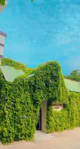 a building covered in ivy in front of a building at Thoddoo Retreat Grand in Thoddoo