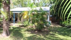 een tuin met een palmboom en een schuur bij Seaward Cottage, Nelly Bay in Nelly Bay
