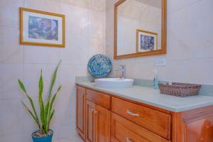 a bathroom with a sink and a mirror and a plant at DD'S Vacation Property in Harveys