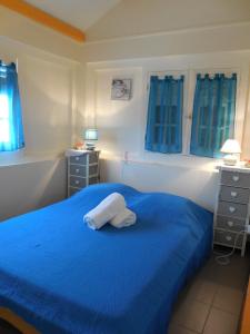 a bedroom with a blue bed with blue curtains at CHATAIGNE HEBERGEMENT in Petit-Bourg