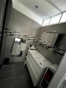 ein Badezimmer mit einem weißen Waschbecken und einem Spiegel in der Unterkunft Appartement F5 maison de maitre in Mulhouse