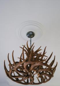 a chandelier with antlers hanging from a ceiling at 40Winks in Durham