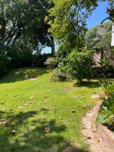 un patio con césped, árboles y un frisbee en Departamento Ocre con gran jardín en San Isidro