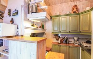 ÅsensbrukにあるAwesome Home In sensbruk With Kitchenのキッチン(緑のキャビネット、カウンタートップ付)