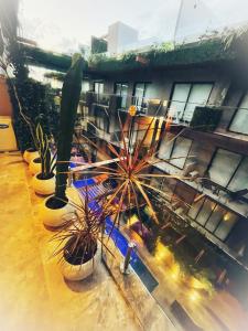 Galeriebild der Unterkunft Estudio Asteroide in Tulum + 8 Fotos