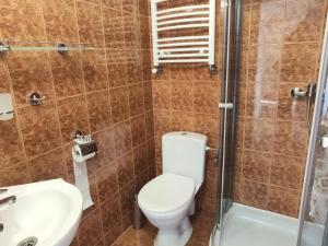 a bathroom with a toilet and a sink and a shower at Comfortable holiday home with a private garden, 200 sqm, 5 bedrooms, Dar owo in Darłowo