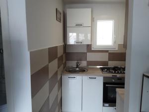 Kuchyň nebo kuchyňský kout v ubytování Villa PANORAMA