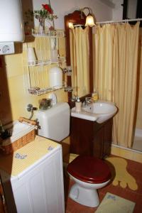 a bathroom with a toilet and a sink and a shower at Apartments Frano in Mirce