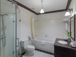 a bathroom with a toilet and a shower and a sink at Chateau d'Angkor La Residence in Siem Reap