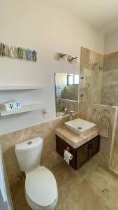 Casa BV: Beautiful new house short walk from beach في Buenavista: حمام به مرحاض أبيض ومغسلة