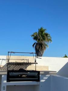 una palmera en el techo de un edificio en Casa BV: Beautiful new house short walk from beach en Buenavista