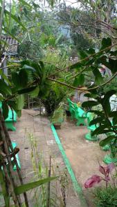 Jardín al aire libre en Tree Cool Resort