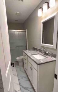 a bathroom with a sink and a toilet and a mirror at 2 Bedroom Luxury Home.. Wooden Floors and Ceilings in Dallas