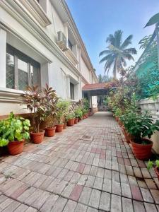 a building with a bunch of potted plants in front of it at West Valley Villa, Casa Bliss in Marmagao