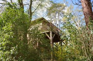 une cabane dans les arbres au milieu de la forêt dans l'établissement Manoir Du Parc (Adults only), à Amboise