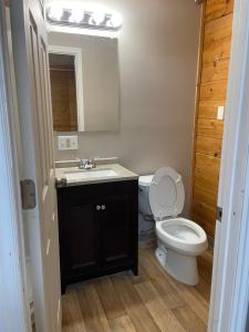 a bathroom with a toilet and a sink and a mirror at Soldotna Lodge in Soldotna