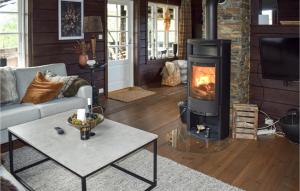 a living room with a wood stove in it at 5 Bedroom Gorgeous Home In Treungen in Treungen