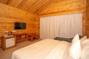 Μια τηλεόραση ή/και κέντρο ψυχαγωγίας στο Dallas Beach Resorts Ashvem Beach