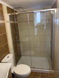 a bathroom with a shower and a toilet at D&R Sunshine Apartment in Nea Kydonia