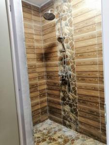 a bathroom with a shower with a giraffe at A+villa in Moka