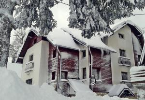 Apartments and Rooms Planinska Idila en invierno