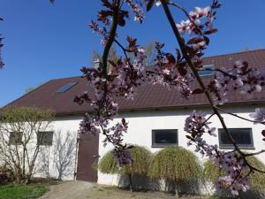 Fotografie z fotogalerie ubytování Ranczo Tomaszówka, Lokalik nad Gąską v destinaci Czewujewo