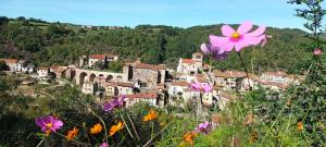 a town on a hill with flowers in the foreground at Au Mange-Prunes in Auzon