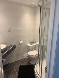 a bathroom with a toilet and a sink at An Entire Fabulous Holiday Home - It’s All Yours! in Saint Columb Major