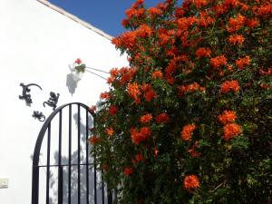 Fotografie z fotogalerie ubytování B&B Casa Agradable v destinaci Arenas