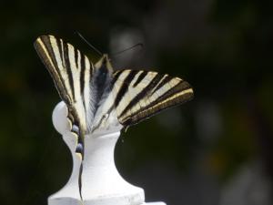 Fotografie z fotogalerie ubytování B&B Casa Agradable v destinaci Arenas
