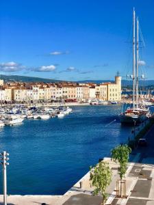 a group of boats docked in a harbor with buildings at Accostage Vieux-Port - Appartements & Parking en option in La Ciotat