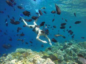 een persoon die over een koraalrif zwemt met vis bij Lihaga Island & Beach Club in Serai