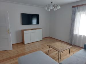 sala de estar con sofá y TV en la pared en Ferienwohnung Salzafeld, en Bad Mitterndorf