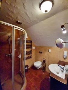 a bathroom with a shower and a toilet and a sink at Sári Csárda Panzió in Dunakiliti