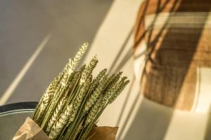 Gallery image of Mykonos High Villa in Mýkonos City +84 photos