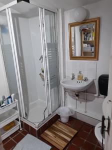 a bathroom with a shower and a sink at Annesley Park-Homestay AP in Dublin