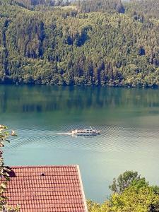 ミルシュタットにあるHaus Kraller-Urlaub mit Seeblickの湖の中の船