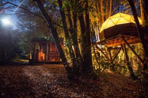 a tree house in the middle of a forest at Centro Turistico Vortice Chile in Manzanar