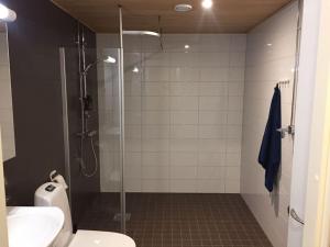 a bathroom with a shower and a toilet and a sink at Uusi tilava kaksio Jyväskylän ydinkeskustassa 53 m2 in Jyväskylä +29 photos