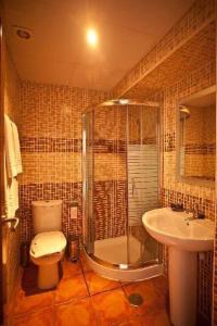 a bathroom with a shower and a toilet and a sink at Hostal Palomares in Salobreña