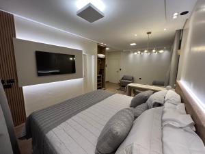 Schlafzimmer mit einem Bett und einem Flachbild-TV in der Unterkunft Ônix Hotel in Assis