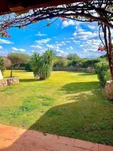 Um jardim em Residence Porto Coda Cavallo