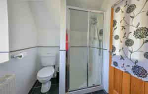 a bathroom with a toilet and a shower at Hunter Heights Apartment at Clevelands in Wroxall