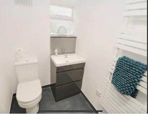 a bathroom with a white toilet and a sink at Studio @ Southcliff in Scarborough +11 photos