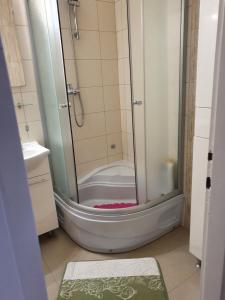 Koupelna v ubytování Apartman Noa + 30 fotografií
