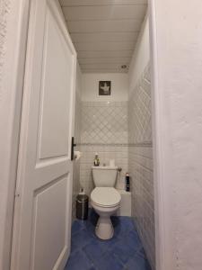 een badkamer met een toilet in een kleine kamer bij Appartement dans ancien moulin à huile rénové in Grasse