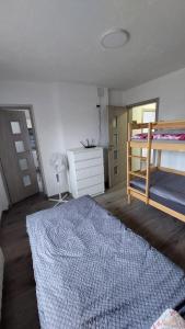 1 Schlafzimmer mit 2 Etagenbetten und einem blauen Teppich in der Unterkunft Mieszkanie wakacyjno-pracownicze całoroczne 