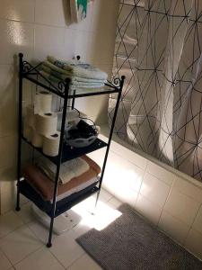 a bathroom with a shelf with toilet paper and towels at Lovely villa in the gorgeous Porto Hydra in Thermisía