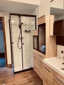 baño con ducha y puerta de cristal en Appartement Sabrina, en Steinberg am Rofan