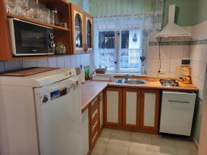 eine Küche mit einem weißen Kühlschrank und einer Spüle in der Unterkunft Apartament na Skarpie in Wrzeszczyn